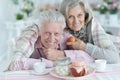 Portrait of happy senior couple drinking tea Royalty Free Stock Photo