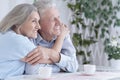 Portrait of happy senior couple drinking tea and posing Royalty Free Stock Photo