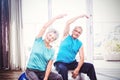 Portrait of happy senior couple exercising Royalty Free Stock Photo