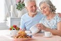 Portrait of happy Senior couple portrait drinking tea Royalty Free Stock Photo