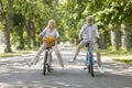 Portrait of happy senior couple riding bicycles at summer park Royalty Free Stock Photo