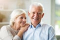 Happy senior couple at home Royalty Free Stock Photo