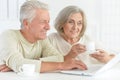 Portrait of happy senior couple using laptop Royalty Free Stock Photo