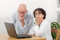Portrait of a happy senior couple using laptop Royalty Free Stock Photo