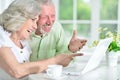 Portrait of a happy senior couple using laptop Royalty Free Stock Photo