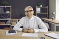 Portrait of happy senior businessman sitting at office table and smiling at camera Royalty Free Stock Photo