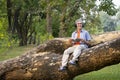 portrait happy senior man sitting on tree trunk in summer park Royalty Free Stock Photo