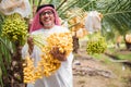 Old male Arab smiling with yellow dates palm fruit