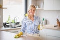 Portrait of senior woman cleaning kitchen counter indoors at home. Royalty Free Stock Photo