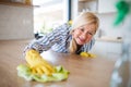 Portrait of senior woman cleaning kitchen counter indoors at home. Royalty Free Stock Photo