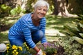 Portrait of happy senior woman kneeling while planting flowers Royalty Free Stock Photo