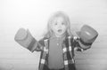 Happy small boy in red boxing gloves, winning pose Royalty Free Stock Photo