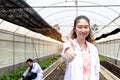 Portrait of happy smiling beautiful Asian botanist scientist woman in white lab coat giving thumb up. Female biological researcher