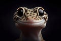 portrait of a happy smiling gecko isolated on black background with copy space. ai generative Royalty Free Stock Photo