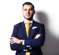 Portrait of happy smiling young businessman Royalty Free Stock Photo