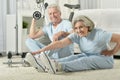 Portrait of happy sporty senior couple exercising