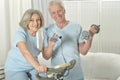 Portrait of happy sporty senior couple exercising Royalty Free Stock Photo