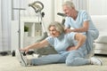 Portrait of happy sporty senior couple exercising Royalty Free Stock Photo