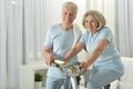 Portrait of happy sporty senior couple exercising Royalty Free Stock Photo