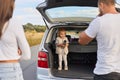 Portrait of happy toddler baby girl standing car trunk and holding thermos, mother and father posing backwards, looking at their Royalty Free Stock Photo