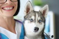 Happy veterinarian woman carry sweet fluffy dog in vet