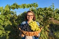 Portrait of happy woman with basket of grapes Royalty Free Stock Photo