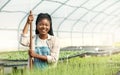 Portrait of a happy woman working on a farm. Smiling farmer working in a greenhouse. African american woman working on a