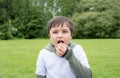 Portrait Happy young boy sitting on grass field eatting red cherry in the green park, Healthy Kid having picnic organic fruits in Royalty Free Stock Photo