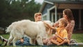 Portrait of a Happy Young Family Couple with a Son and Daughter, and a Noble White Golden Retriever Royalty Free Stock Photo