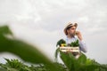 Portrait of a happy young farmer holding fresh vegetables in a basket. On a background of nature The concept of biological, bio Royalty Free Stock Photo