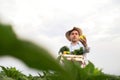 Portrait of a happy young farmer holding fresh vegetables in a basket. On a background of nature The concept of biological, bio Royalty Free Stock Photo