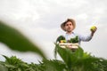 Portrait of a happy young farmer holding fresh vegetables in a basket. On a background of nature The concept of biological, bio Royalty Free Stock Photo