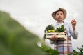 Portrait of a happy young farmer holding fresh vegetables in a basket. On a background of nature The concept of biological, bio Royalty Free Stock Photo