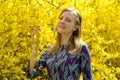 Portrait of the happy young woman against the background of the blossoming forsythia