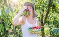 Portrait of happy young woman gardener picking and eating sweet cherry from tree Royalty Free Stock Photo