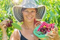 Portrait of happy young woman gardener picking sweet cherry from tree Royalty Free Stock Photo