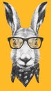 Portrait of Hare with glasses and scarf, hand-drawn illustration. Royalty Free Stock Photo