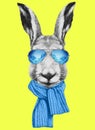 Portrait of Hare with mirror sunglasses and scarf. Royalty Free Stock Photo