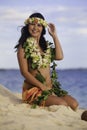 Portrait of a hawaiian hula dancer