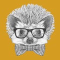 Portrait of Hedgehog with glasses and bow tie. Royalty Free Stock Photo