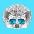 Portrait of Hedgehog with mirror sunglasses.