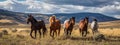 portrait of a herd of wild horses in nature. Selective focus.