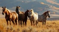 portrait of a herd of wild horses in nature. Selective focus.