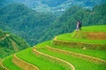 Portrait hill tribe girl asian lady looking beautiful terraced rice paddy field and mountain landscape.