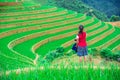 Portrait hill tribe girl asian lady looking beautiful terraced rice paddy field and mountain landscape in Mu Cang Chai and SAPA