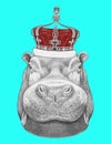 Portrait of Hippo with crown.