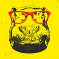 Portrait of Hippo with glasses. Hand drawn illustration.