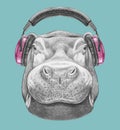 Portrait of Hippo with headphones.