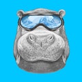 Portrait of Hippo with ski goggles.