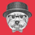 Portrait of Hipster Dog. Yorkshire Terrier with sunglasses,hat and bow tie.